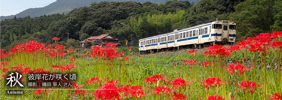 ひたひこ線・ローカル鉄道写真:今月のピックアップ01