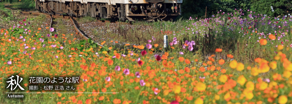 ひたひこ線・ローカル鉄道写真:今月のピックアップ02