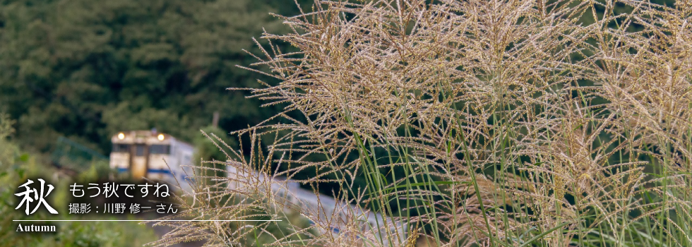 ひたひこ線・ローカル鉄道写真:今月のピックアップ03