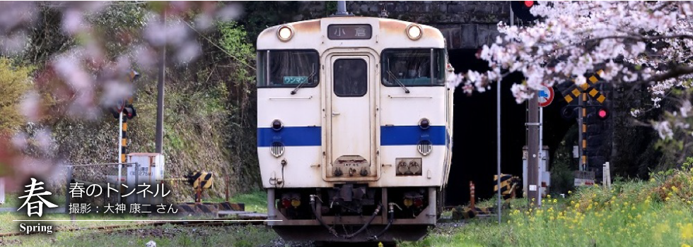 ひたひこ線・ローカル鉄道写真：今月のピックアップ02