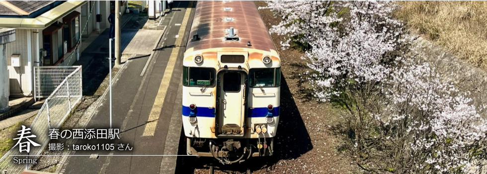 ひたひこ線・ローカル鉄道写真：今月のピックアップ04