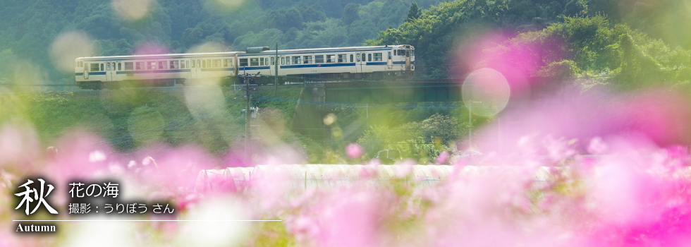 ひたひこ線・ローカル鉄道写真：今月のピックアップ01