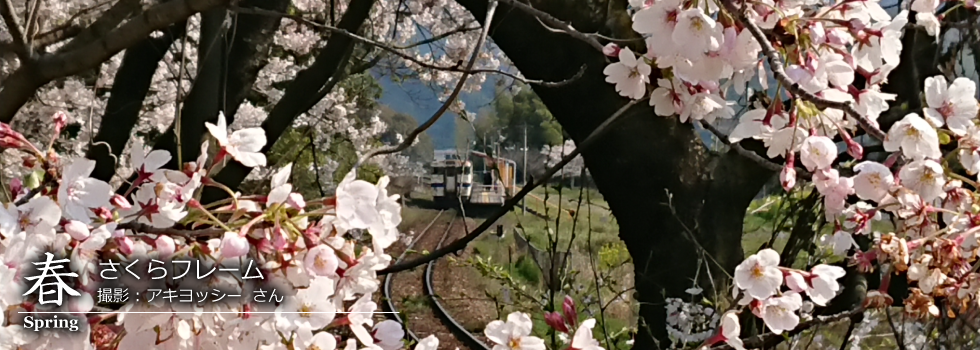 ひたひこ線・ローカル鉄道写真：今月のピックアップ06