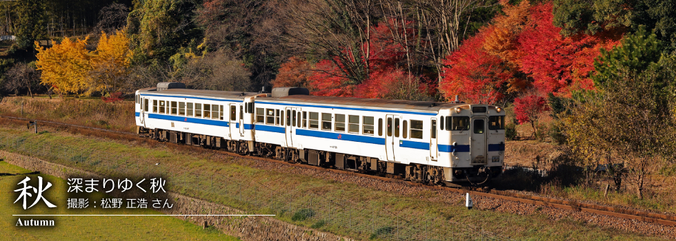 ひたひこ線・ローカル鉄道写真：今月のピックアップ01