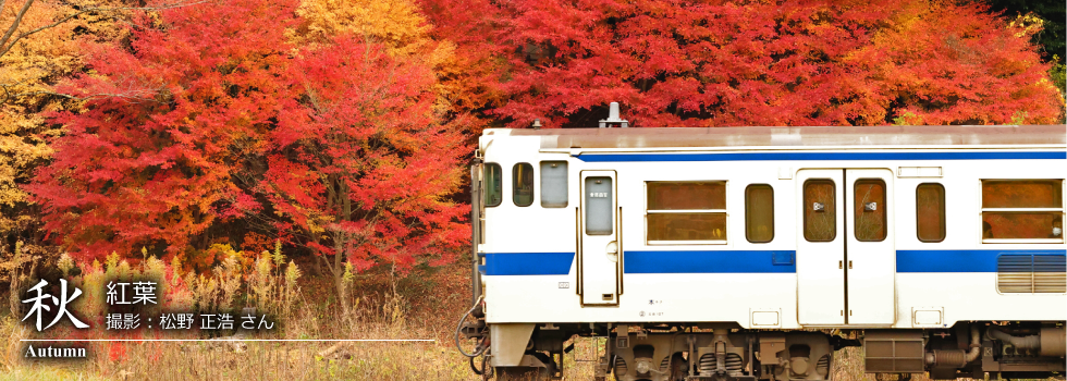 ひたひこ線・ローカル鉄道写真：今月のピックアップ02