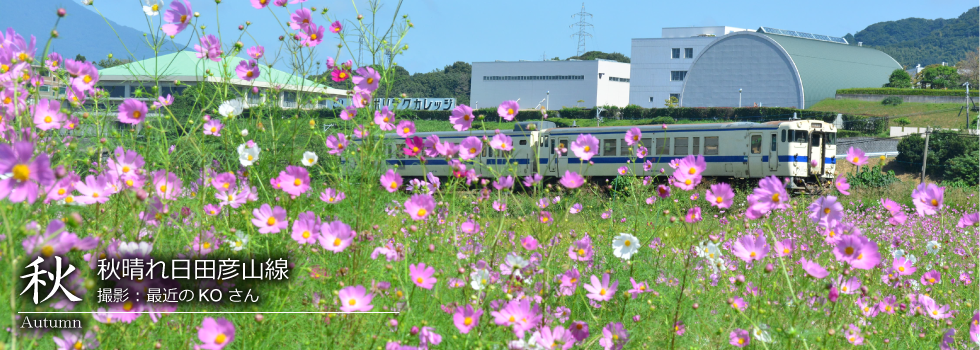 ひたひこ線・ローカル鉄道写真：今月のピックアップ03