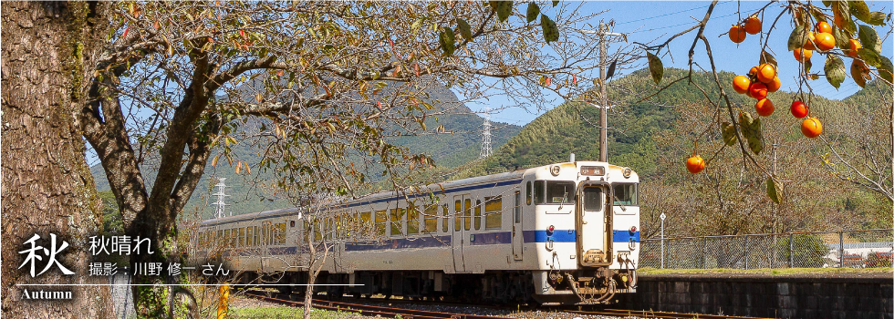 ひたひこ線・ローカル鉄道写真：今月のピックアップ05