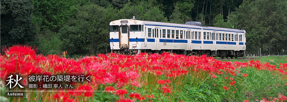 ひたひこ線・ローカル鉄道写真：今月のピックアップ06