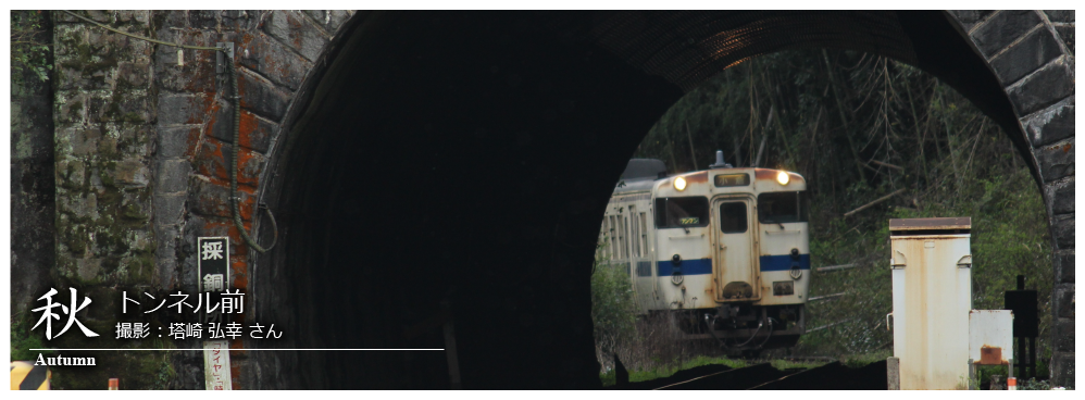 ひたひこ線・ローカル鉄道写真：今月のピックアップ01