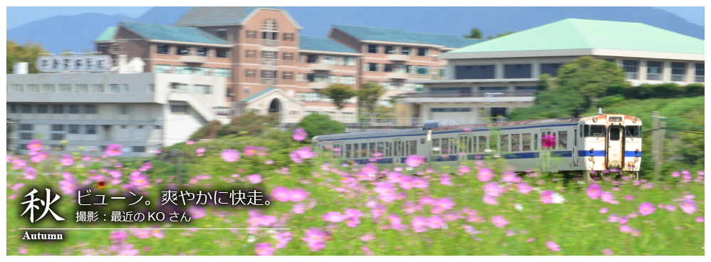 ひたひこ線・ローカル鉄道写真：今月のピックアップ02