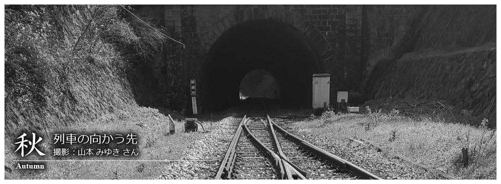 ひたひこ線・ローカル鉄道写真：今月のピックアップ06
