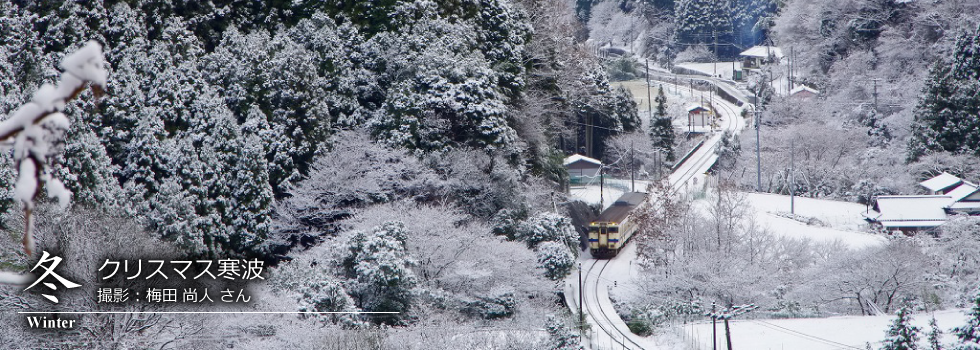 ひたひこ線・ローカル鉄道写真：今月のピックアップ01