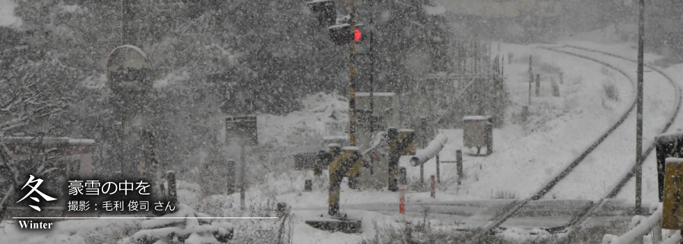 ひたひこ線・ローカル鉄道写真：今月のピックアップ02