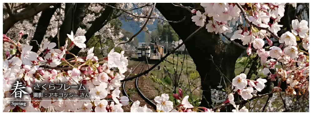 ひたひこ線・ローカル鉄道写真:今月のピックアップ01