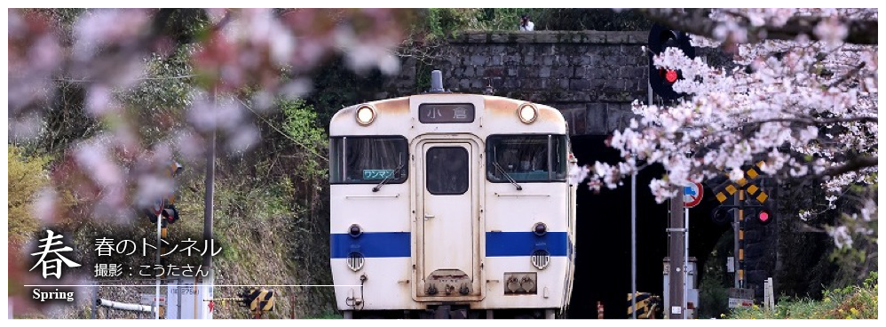 ひたひこ線・ローカル鉄道写真:今月のピックアップ02