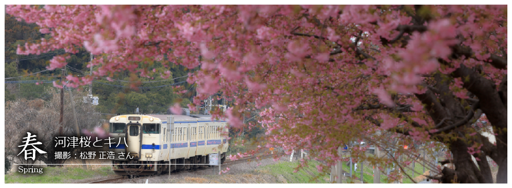 ひたひこ線・ローカル鉄道写真：今月のピックアップ03