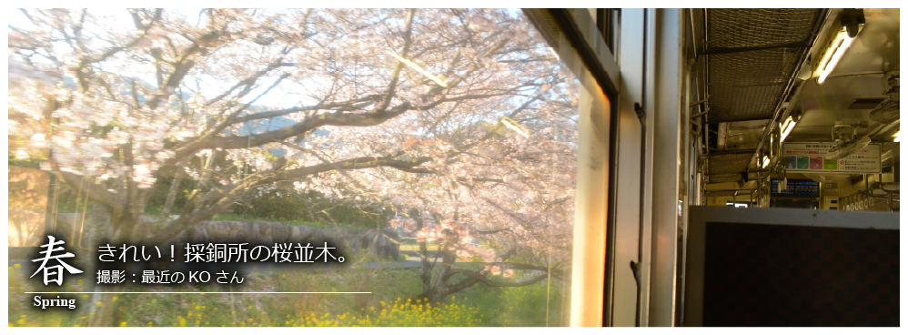 ひたひこ線・ローカル鉄道写真：今月のピックアップ06