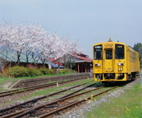 桜の彦山駅
