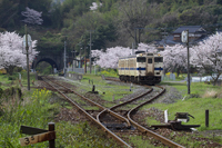 桜の採銅所駅