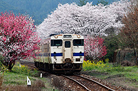 春の宝珠山駅