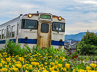 花と列車
