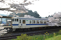春の快速列車
