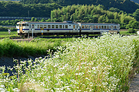 志井の鉄道風景