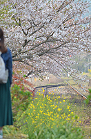 葉桜の美しさ。採銅所駅。