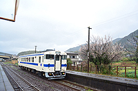 2月。ピカピカ☆かわいい1両の団体列車。