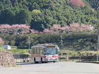 日田彦山線代行バス