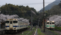 今年最高の並び 