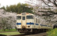 スプリング・ステーション（春の駅）