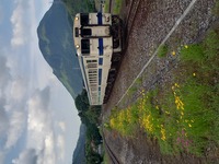 山と花