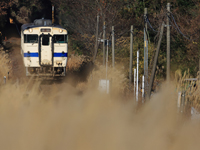 すすき路