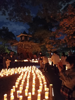 小倉城竹あかり