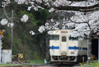 トンネルを抜けた