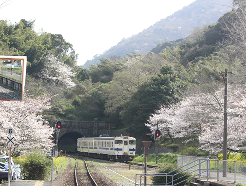 春満開の駅