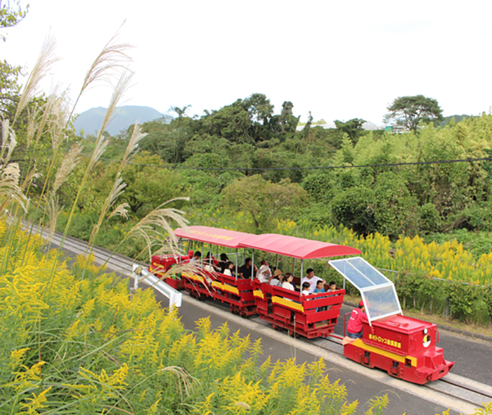 赤のトロッコ列車（レッドトロッコトレイン）