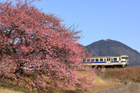 春景をいくキハ