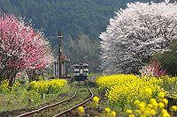 春爛漫の宝珠山駅
